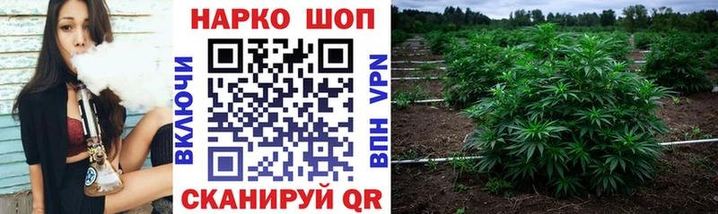 Где найти наркотики Шацк Альфа ПВП  Меф мяу мяу  АМФ  Марихуана  Гашиш 