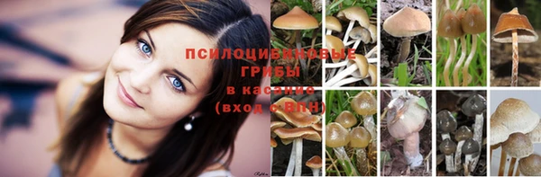 мяу мяу мука Алексеевка