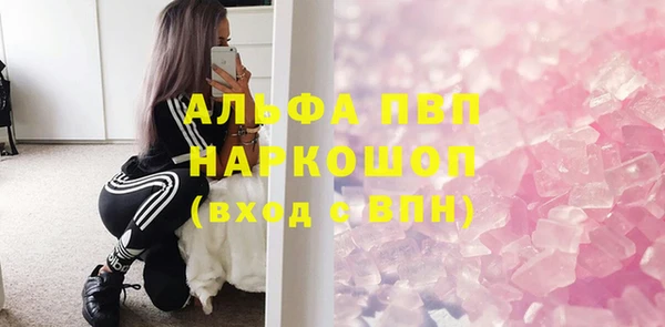 СК Алексин