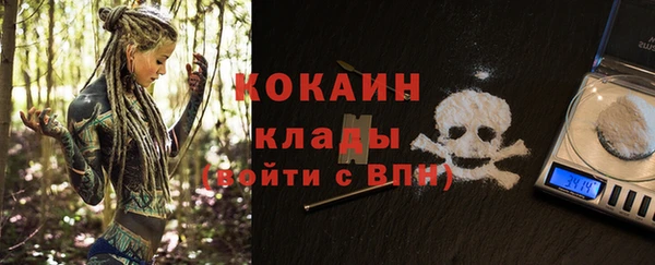 СК Алексин
